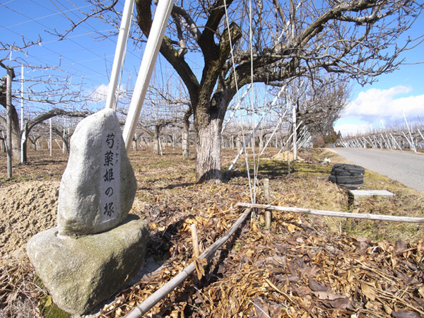 親田の芍薬姫の墓